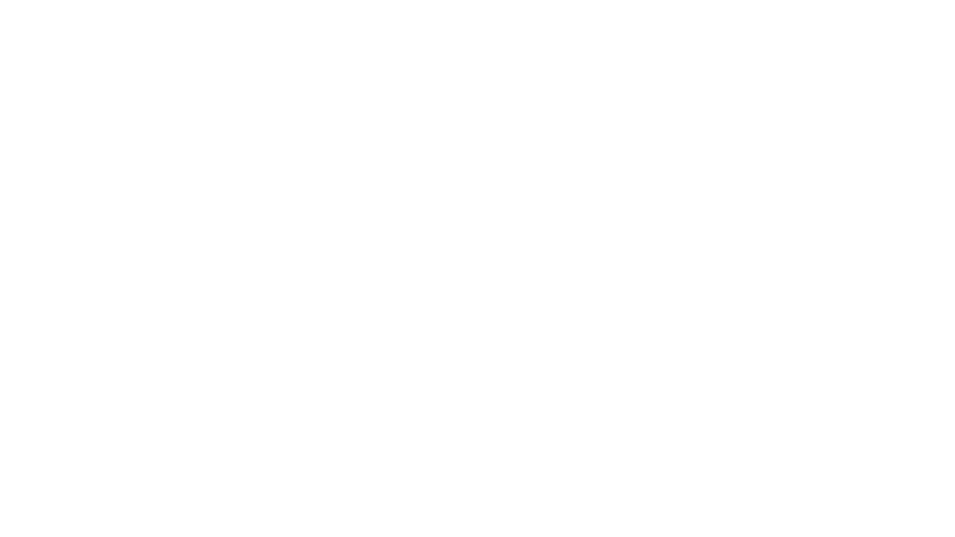 16x9_DanaInc-1